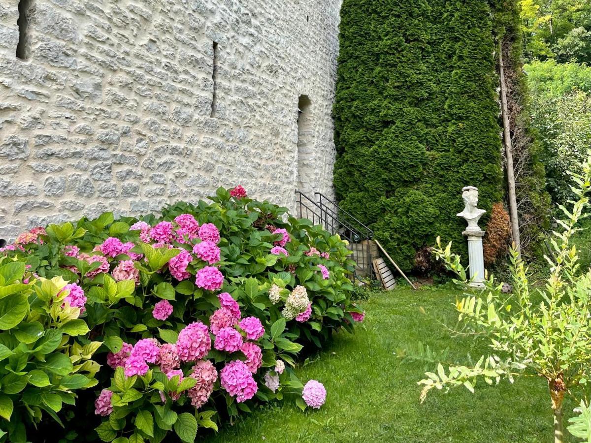 Manoir Saint-Pierre Bed & Breakfast Villersexel Bagian luar foto