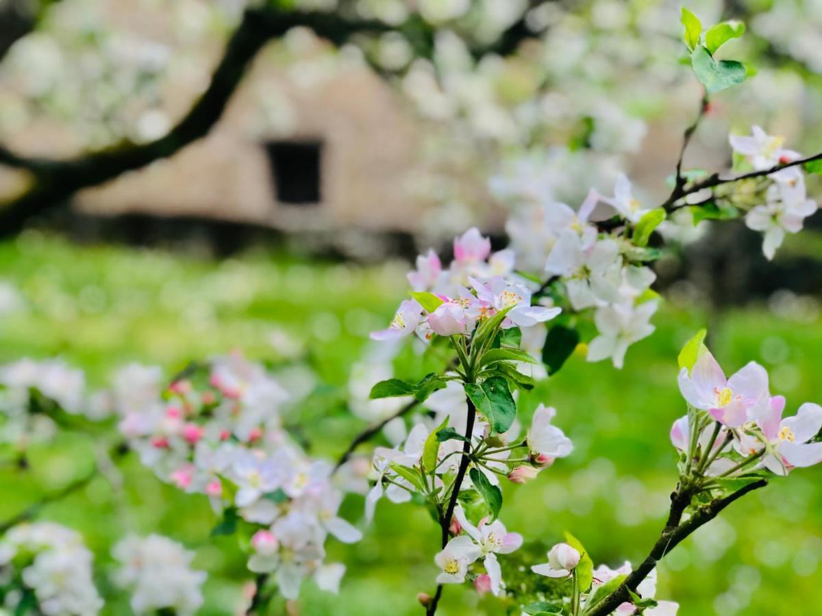 Manoir Saint-Pierre Bed & Breakfast Villersexel Bagian luar foto