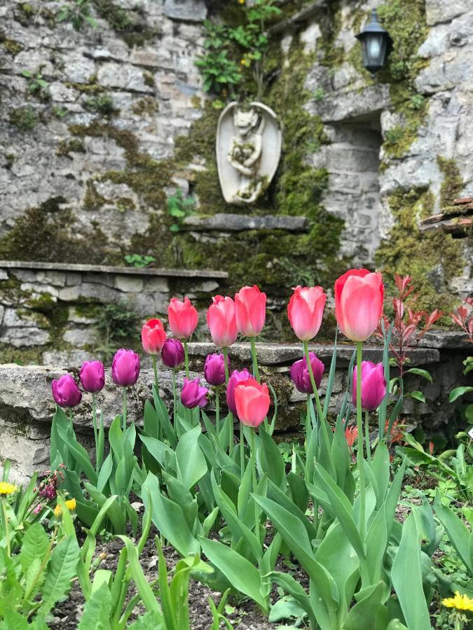 Manoir Saint-Pierre Bed & Breakfast Villersexel Bagian luar foto