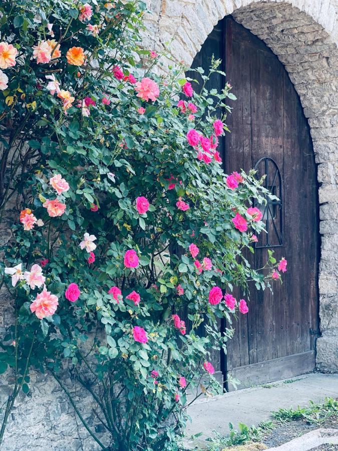 Manoir Saint-Pierre Bed & Breakfast Villersexel Bagian luar foto